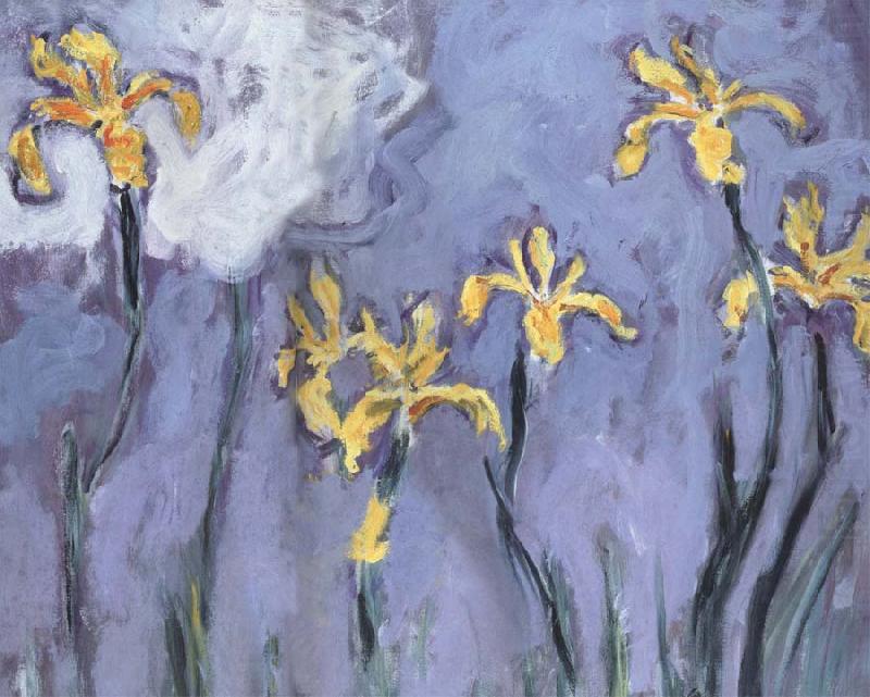 Yellow Irises with Pink Cloud, Claude Monet